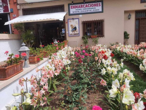 Zm Arte - Enmarcaciones - Cuadros - La Zamora