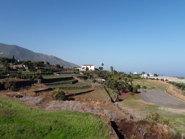 Finca Sulula